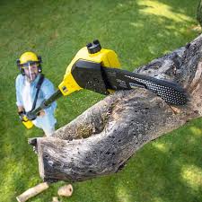 Best Lawn Grading and Leveling  in Gridley, IL