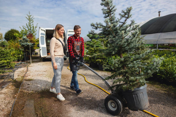 Best Tree Preservation Services  in Gridley, IL